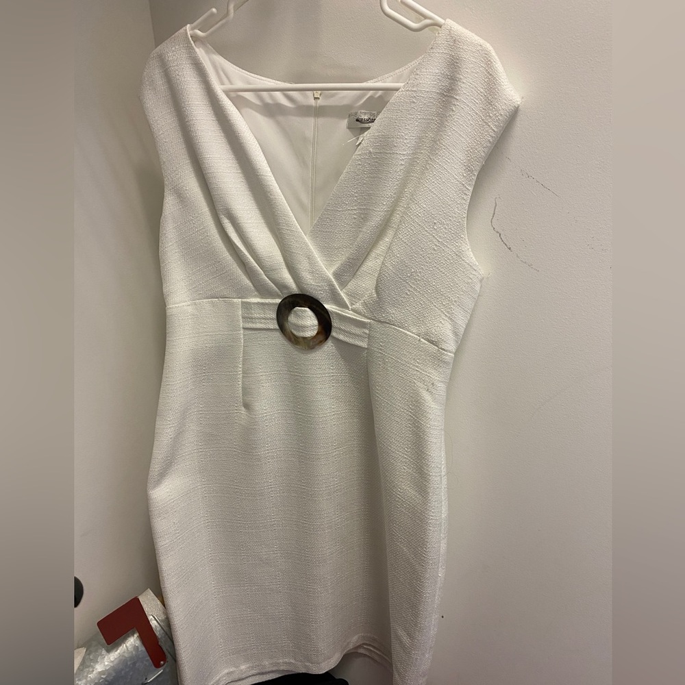 Dress Barn dress